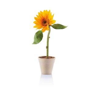 girasole-personalizzato-vaso