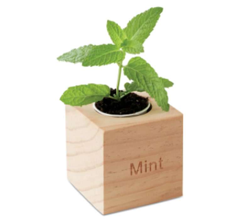 Custom Wooden Pot with Plantable Seeds