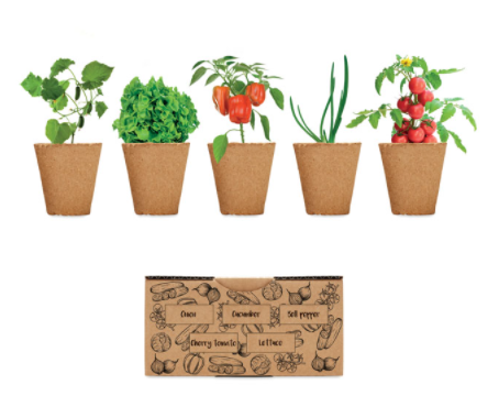 kit-per-la-coltivazione-in-casa-o-in-giardino-e-serra-semi-assortiti-per-insalate.png